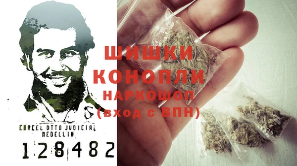 ГАЛЛЮЦИНОГЕННЫЕ ГРИБЫ Балабаново