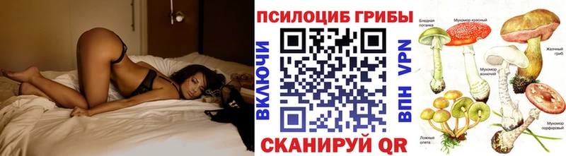Псилоцибиновые грибы GOLDEN TEACHER  где найти   Белореченск 