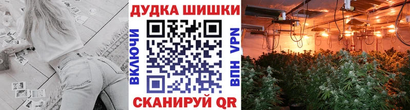 Канабис ГИДРОПОН blacksprut зеркало Белореченск